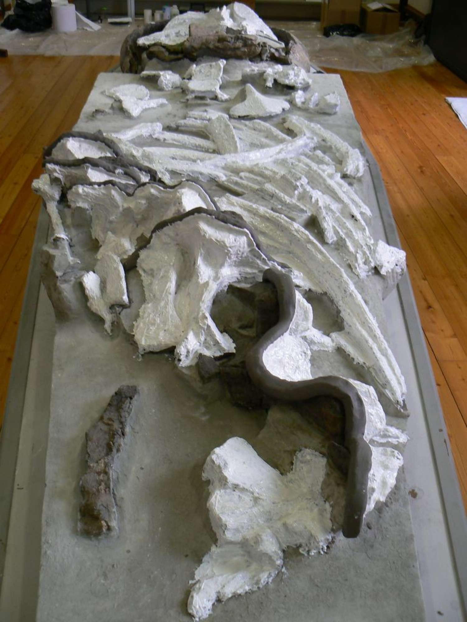 Festa scuola Ale 016